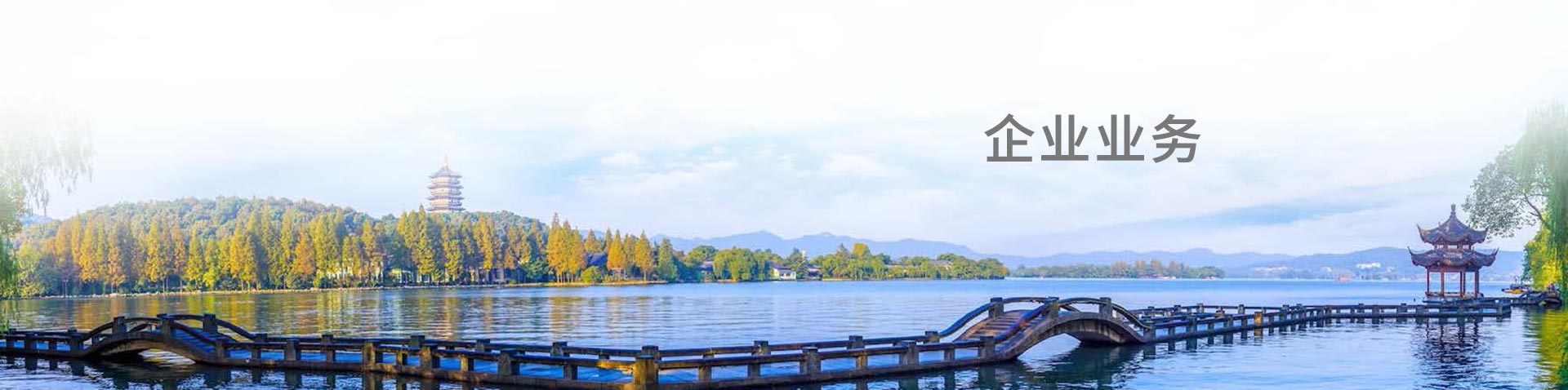 企业业务